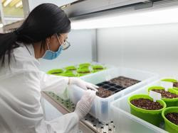Cover image for research topic "Emerging Sustainable and Green Technologies for Improving Agricultural Production"