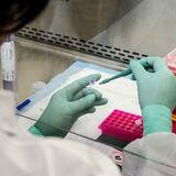 Cover image for research topic "Emerging topics on chemical safety assessment"