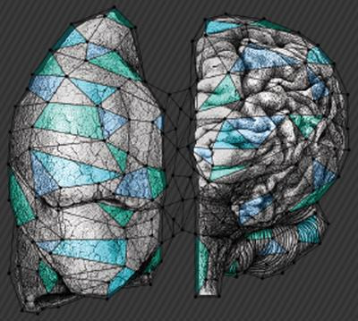 Cover image for research topic "Central Nervous System Metastases in Lung Cancer Patients: From Prevention to Diagnosis and Treatment"