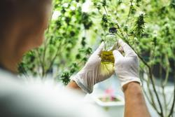 Cover image for research topic "Traditional Processing Methods in Ethnopharmacology: Enhancing Therapeutic Effects and Unveiling Mechanisms of Action"