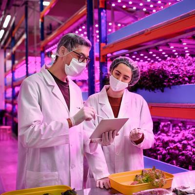 Cover image for research topic "Advancing Plant Virology: High-Throughput Sequencing for Emerging Virus Detection"