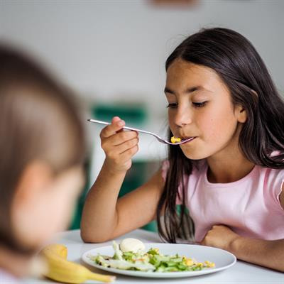 Cover image for research topic "Nutritional Management of Childhood Obesity and Related Diseases"