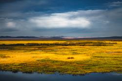 Cover image for research topic "Processes, Mechanisms and Solutions in Coastal Wetland to Adapt to Changing Environment"