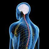 Cover image for research topic "Exploring the interplay of interoception in emotion, cognition, and mental health"