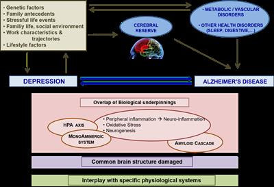 Cover image for research topic "Depression and Alzheimer’s Diseases: Overlap of Their Underpinnings"