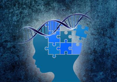 Cover image for research topic "Deconstructing the Influence of Genetic and Age Vulnerability to Psychiatric Disorders"