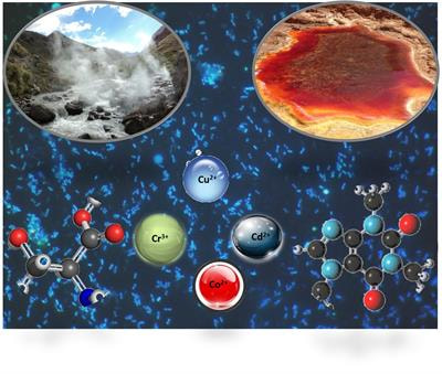 Cover image for research topic "Recent Advances in Bioremediation/biodegradation by Extreme Microorganisms"