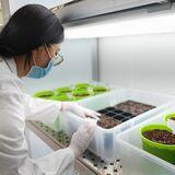 Cover image for research topic "Evaluating Toxicological Risks of Traditional Medicines in Modern Healthcare"