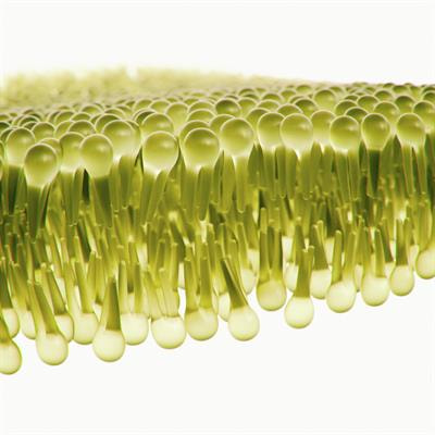 Cover image for research topic "Advanced Biocompatible Piezoelectrics: Synthesis, Characterization, and Applications"