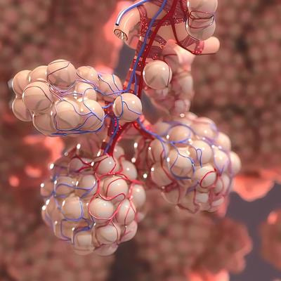 Cover image for research topic "Personalized Therapy in ARDS - Volume II"