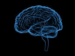 Cover image for research topic "Monoclonal antibodies in treating multiple sclerosis (MS), and related diseases."