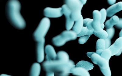 Cover image for research topic "Global Dissemination and Evolution of Epidemic Multidrug-Resistant Gram-Negative Bacterial Pathogens: Surveillance, Diagnosis and Treatment, Volume III"