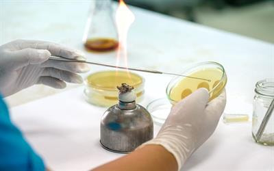 Cover image for research topic "Horizontal Transfer of Antibiotic Resistance Genes in the Environment: Dynamic, Contributing Factors, and Control"