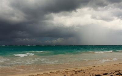 Cover image for research topic "Microorganisms in Dehalogenation: Regulation and Enhancement"