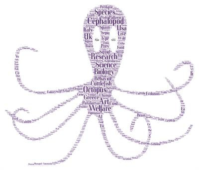 Cover image for research topic "CephsInAction: Towards Future Challenges for Cephalopod Science"