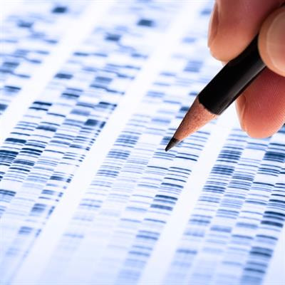 Cover image for research topic "Editor's Feature: Negative Findings in Pharmacogenetics and Pharmacogenomics Volume II"