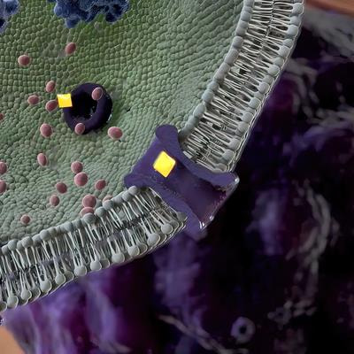 Cover image for research topic "Cancer Biology, Immunotherapy and Aging"