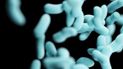 Cover image for research topic "Bacterial Pathogens and Virulence Factor Genes: Diversity and Evolution"