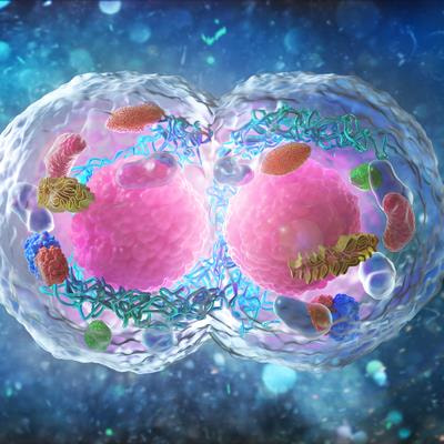 Cover image for research topic "Genotoxic Pathways of Reproductive Outcomes"