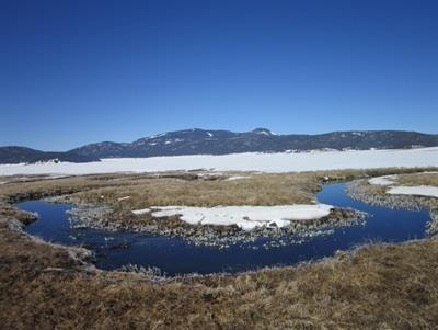 Cover image for research topic "Critical Zone (CZ) Export to Streams as Indicator for CZ Structure and Function"