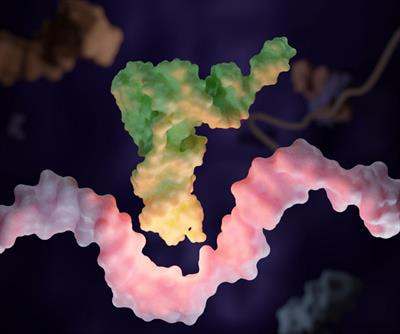 Cover image for research topic "Role of RNA post-transcriptional modification (PTM) mutations in diseases"