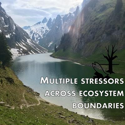 Cover image for research topic "Multiple Stressors across Ecosystem Boundaries"