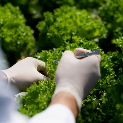 Cover image for research topic "Genetics and Genomics of Emerging and Multifactorial Stresses Affecting Plant Survival and Associated Plant Microbiomes"