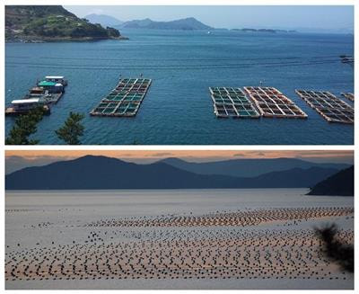 Cover image for research topic "Coastal and Marine Aquaculture in Climate Change"