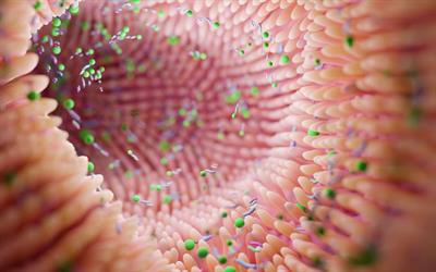 Cover image for research topic "Recent Advances in Our Understanding of NEC Pathogenesis, Diagnosis, and Treatment - Volume II"