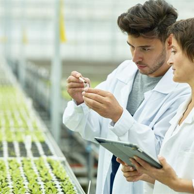 Cover image for research topic "Multi-omics Strategies to Analyze Complex Agronomic Traits in Plants, Volume II"