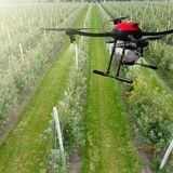 Cover image for research topic "Leveraging Phenotyping and Crop Modeling in Smart Agriculture"