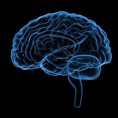 Cover image for research topic "Pathophysiology, Treatment and Rehabilitation of Neurodegenerative Diseases in Geriatric Population"