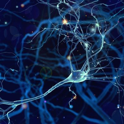 Cover image for research topic "Targeting Neuroinflammation for Novel Therapeutics in Neurodegenerative Diseases"
