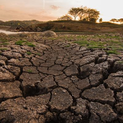 Cover image for research topic "Monitoring, Modeling, and Mitigation in Terrestrial Ecosystems: Microbial Response to Climate Change"