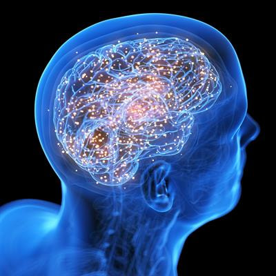 Cover image for research topic "Insights in Neuroenergetics and Brain Health: 2024-2025"