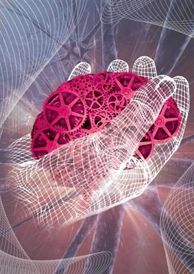 Cover image for research topic "Towards translating research to clinical practice: Novel Strategies for Discovery and Validation of Biomarkers for Brain Injury"