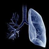 Cover image for research topic "Case Reports in Pulmonary Medicine 2024"