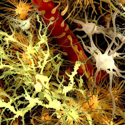 Cover image for research topic "Non-Neuronal Cells in Neurodegenerative Diseases and Psychiatric Disorders"