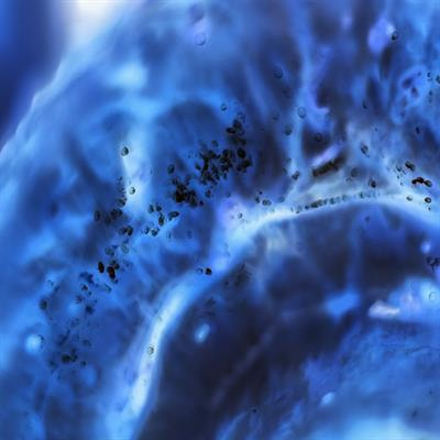 Cover image for research topic "Obesity and Metabolism in Endocrine-Related Cancers"