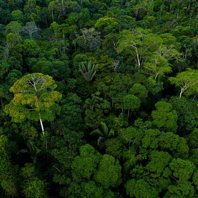 Cover image for research topic "Sustainable Plant-Based Strategies for Managing Plant-Parasitic Nematodes"