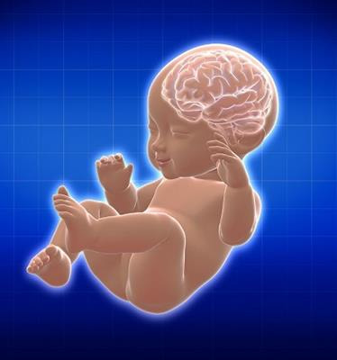 Cover image for research topic "Preventing Developmental Brain Injury – From Animal Models to Clinical Trials"