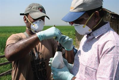 Cover image for research topic "Diseases at the Wildlife-Human Interface: Tracking Pathogen Evolution and Predicting Future Change "