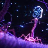 Cover image for research topic "Bacteriophages, a weapon against animal bacterial pathogens and biofilms"