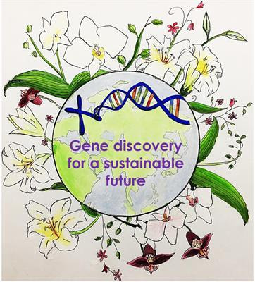 Cover image for research topic "From Functional Genomics to Biotechnology in Ornamental Plants"