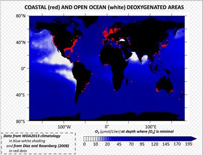 Cover image for research topic "Facing Marine Deoxygenation"