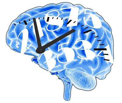 Cover image for research topic "Integrating Time & Number: From Neural Bases to Behavioral Processes through Development and Disease"