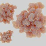 Cover image for research topic "Advances in Diabetes and Hypertension Research"