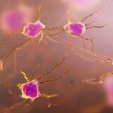Cover image for research topic "Decoding Complexity: Genomic, Epigenomic, and Environmental Dynamics in Developmental and Neurogenetic Disorders"