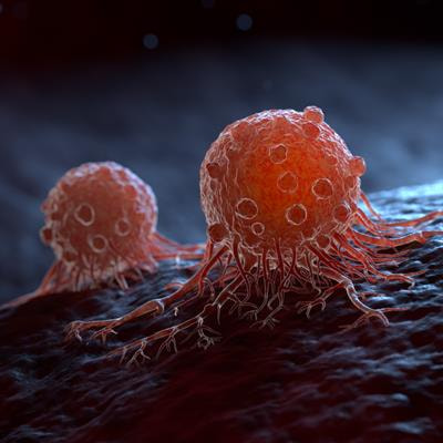 Cover image for research topic "Exploring KLF4's Role in Immune Cell Function and Disease Progression"