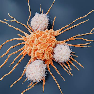 Cover image for research topic "The Immune Infiltrate as a Paradigm Model to Study the Biology and Novel Therapeutic Approaches in Sarcomas, volume II"